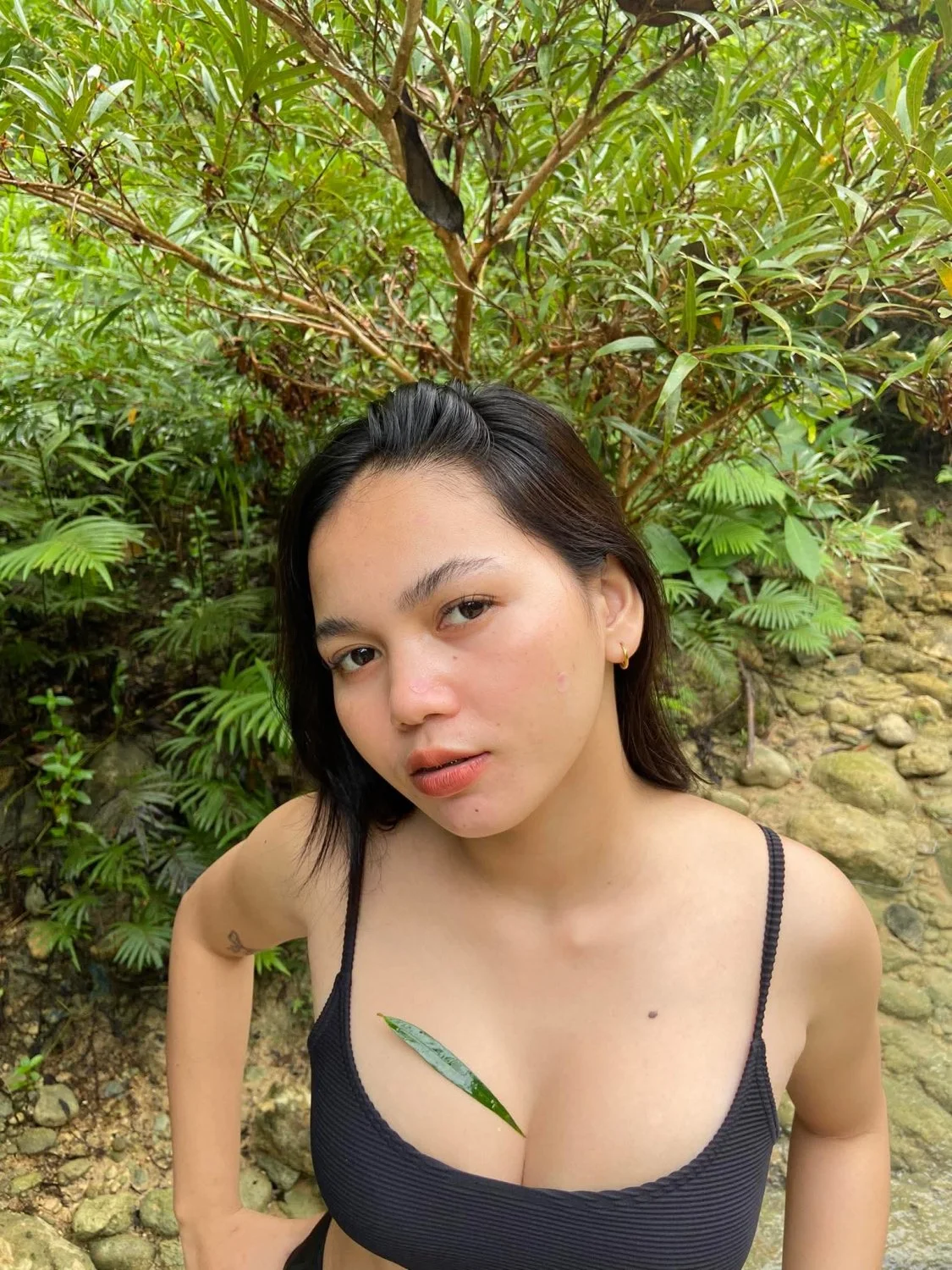 🖼️ image 43