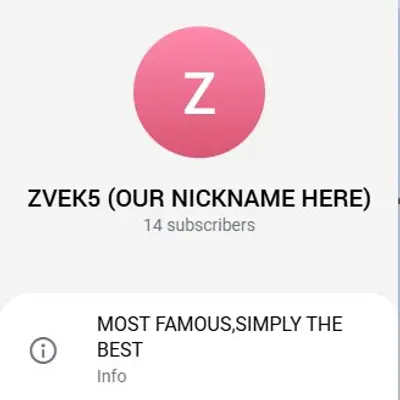 6 cover image