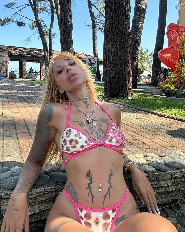 Perfect TikTok DSLs image 15
