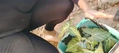 Yt image 14