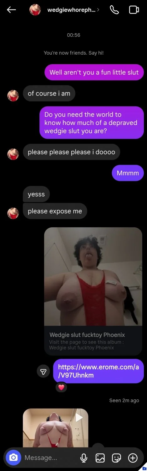 Wedgie slut fucktoy Phoenix image 13