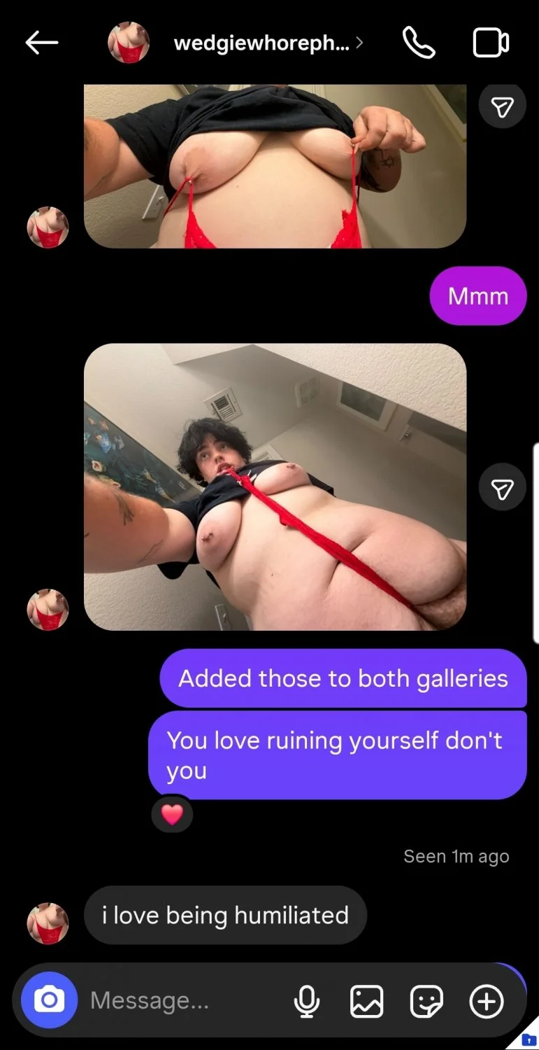 Wedgie slut fucktoy Phoenix image 31