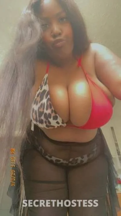 thumb-DIOR-36Yrs-Old-Escort-Bradenton-FL-722069-1 image 3