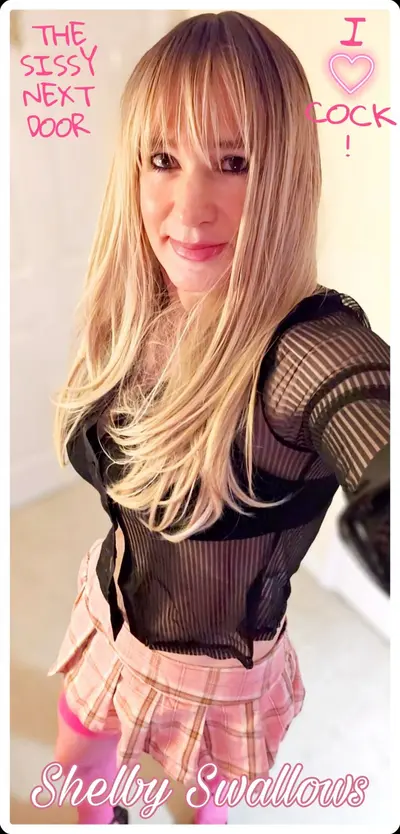 The Sissy Next Door Shelby Swallows cover image
