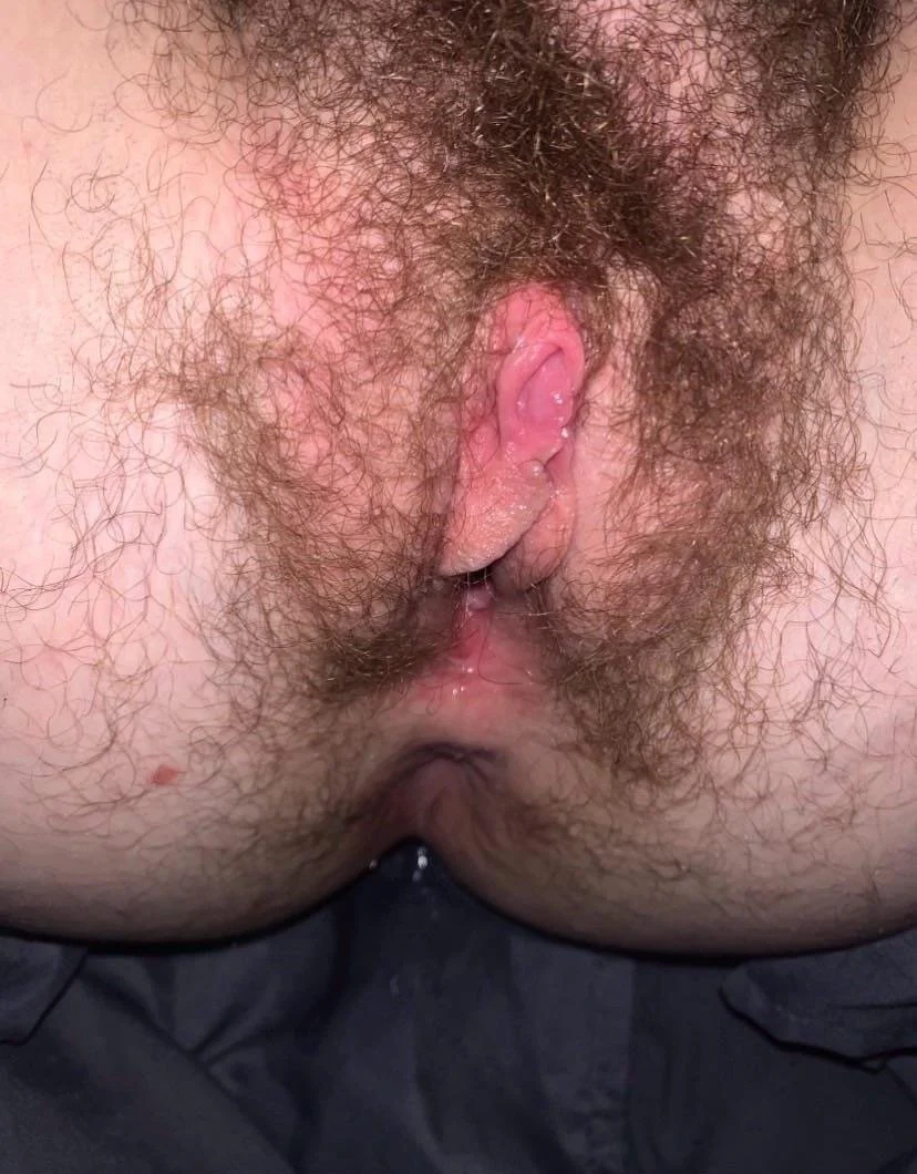 Gaping Animal Hole main image