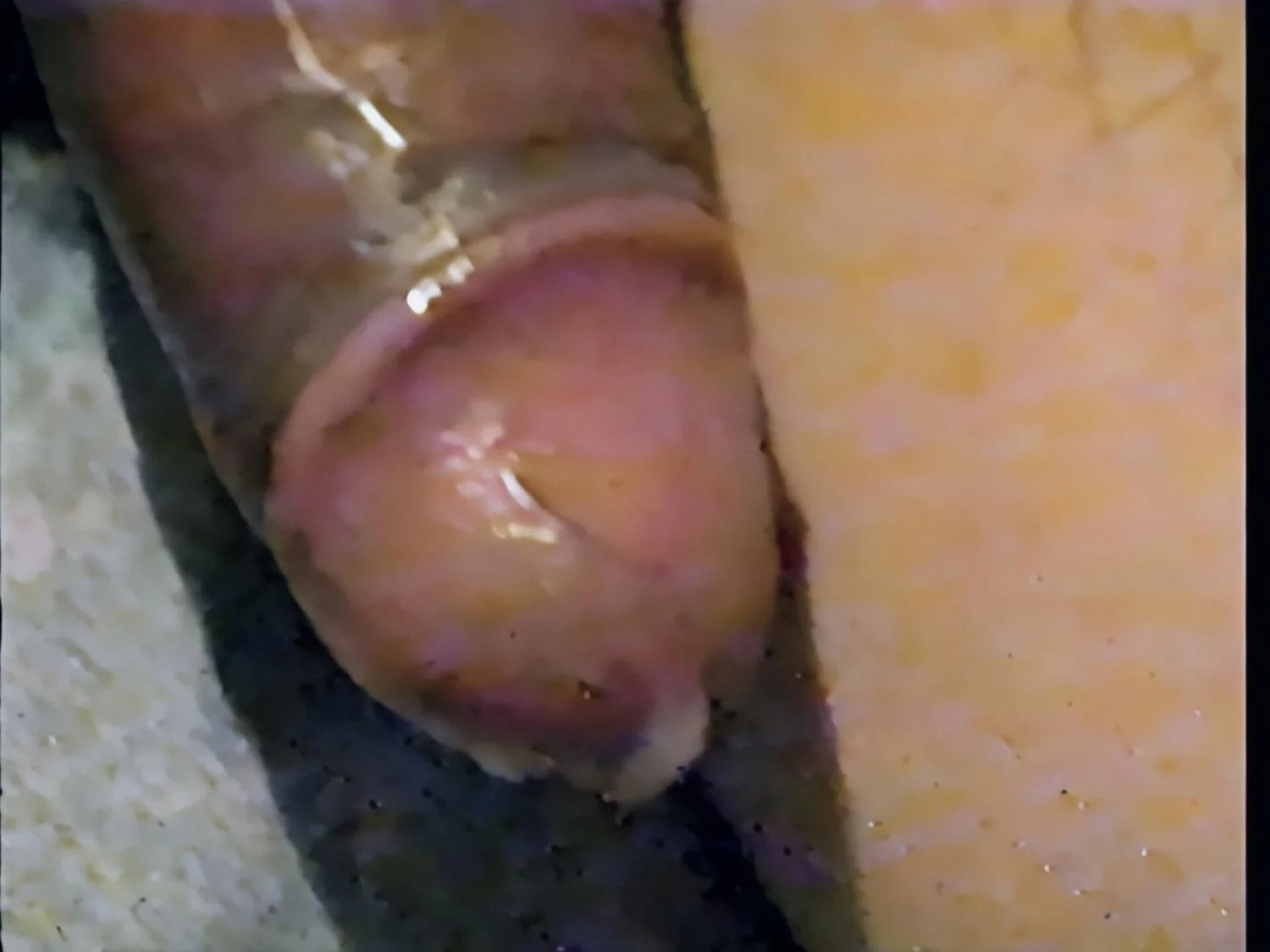 MI ESPOSA, TAN LINDA PERO TAN PUTA CHUPÁNDOSELA A SU AMIGO image 6
