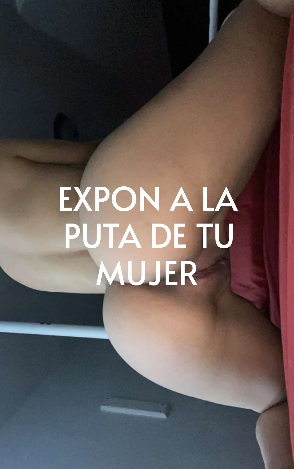Expon a la puta de tu mujer image 1