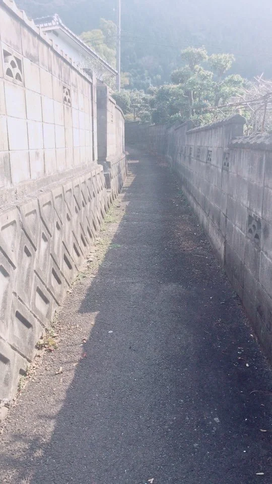 qkCHxQ5h_1 image 11