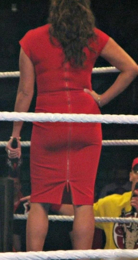 Stephanie McMahon 2 image 5