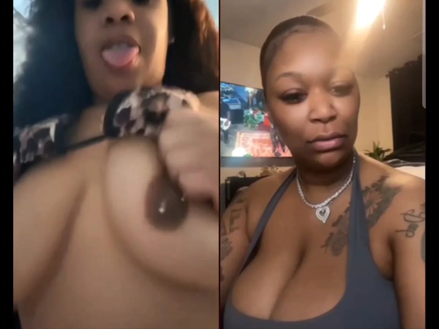 Two thicc BBW thots flashin titties & shakin ASS image 3
