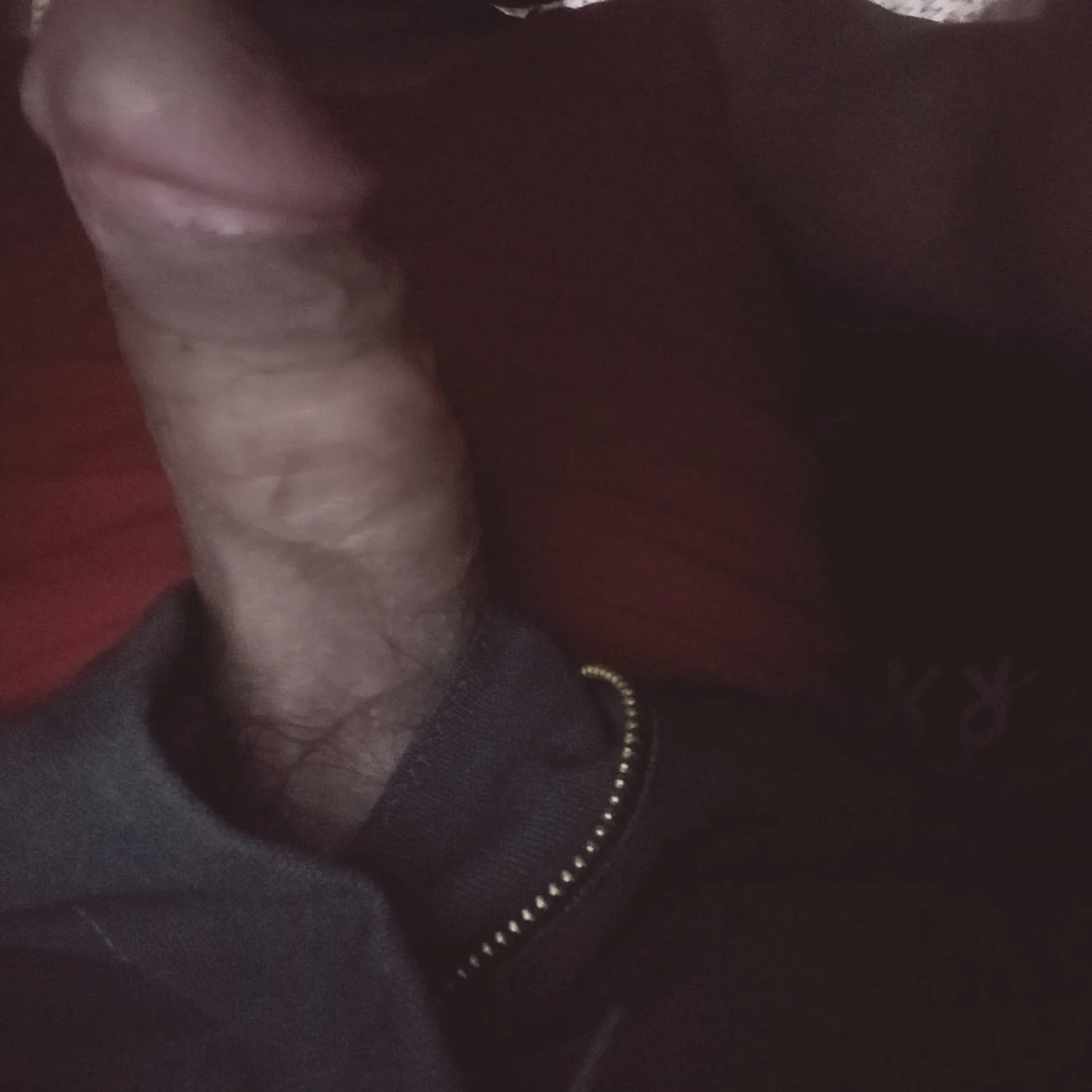 Verga grande image 15