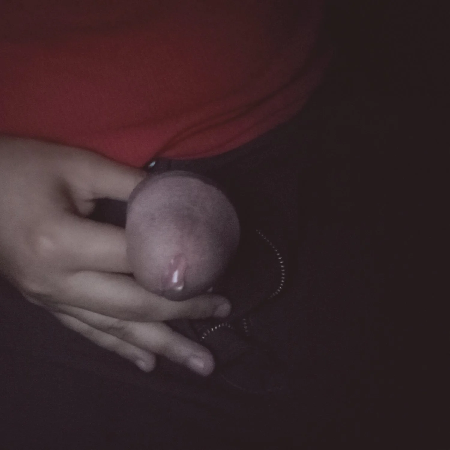 Verga grande image 18