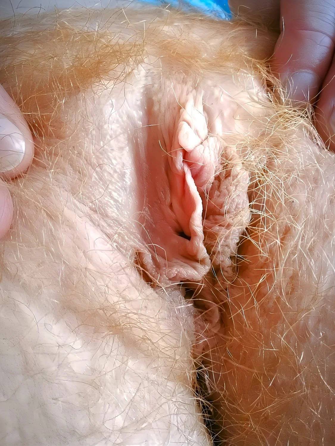 RedKat image 28