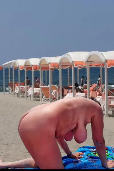 on the beach... cover image