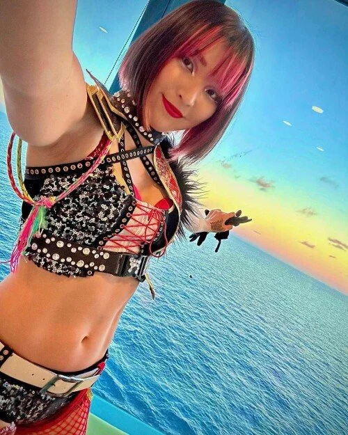 Hikaru Shida image 21