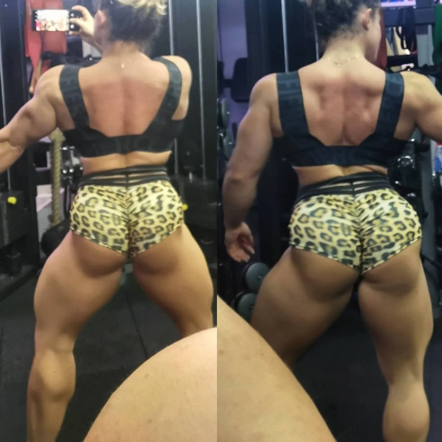 Dianna IFBB image 9