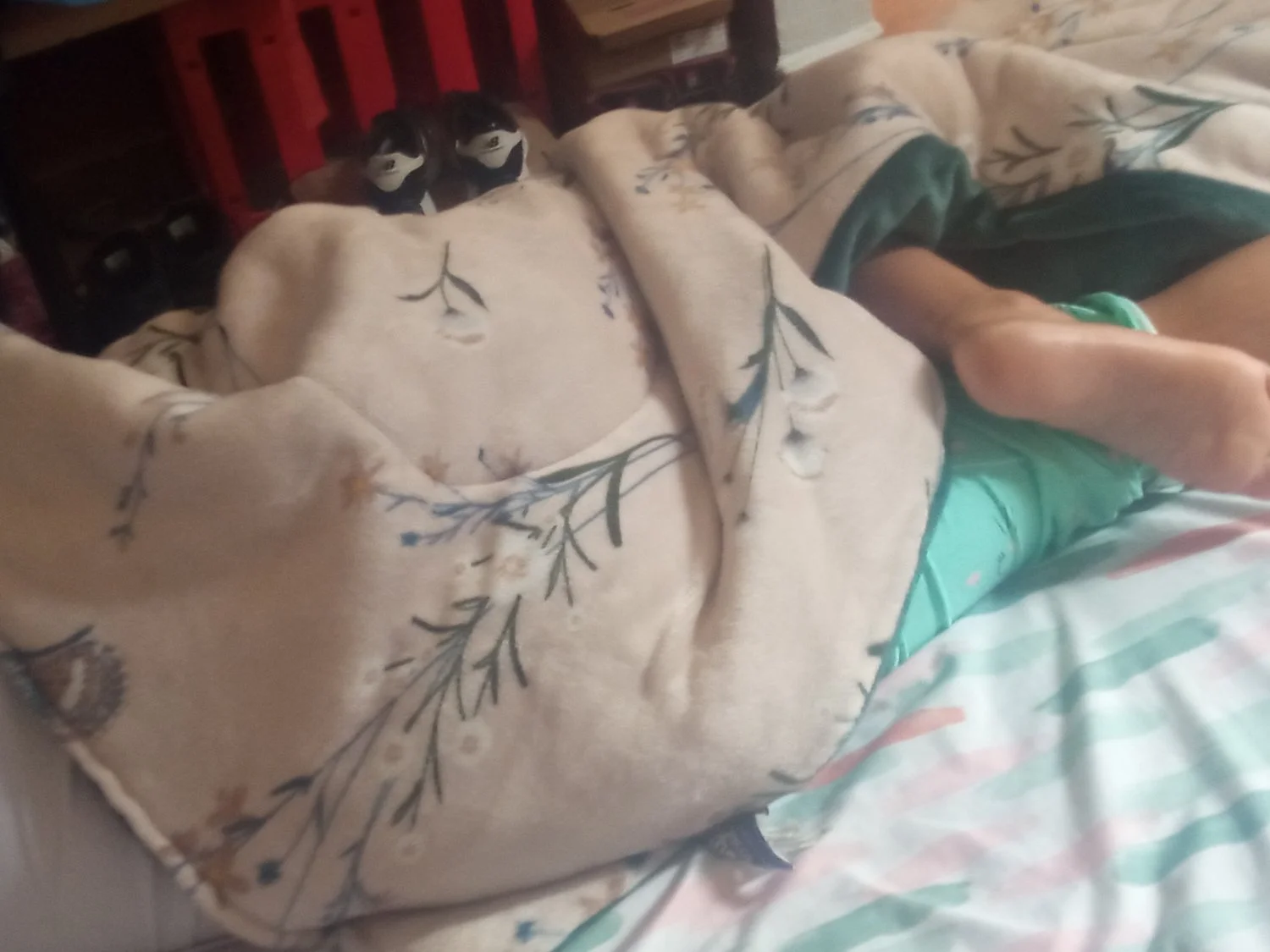 Que les parece encontré un vídeo en su galería cogiendo image 22