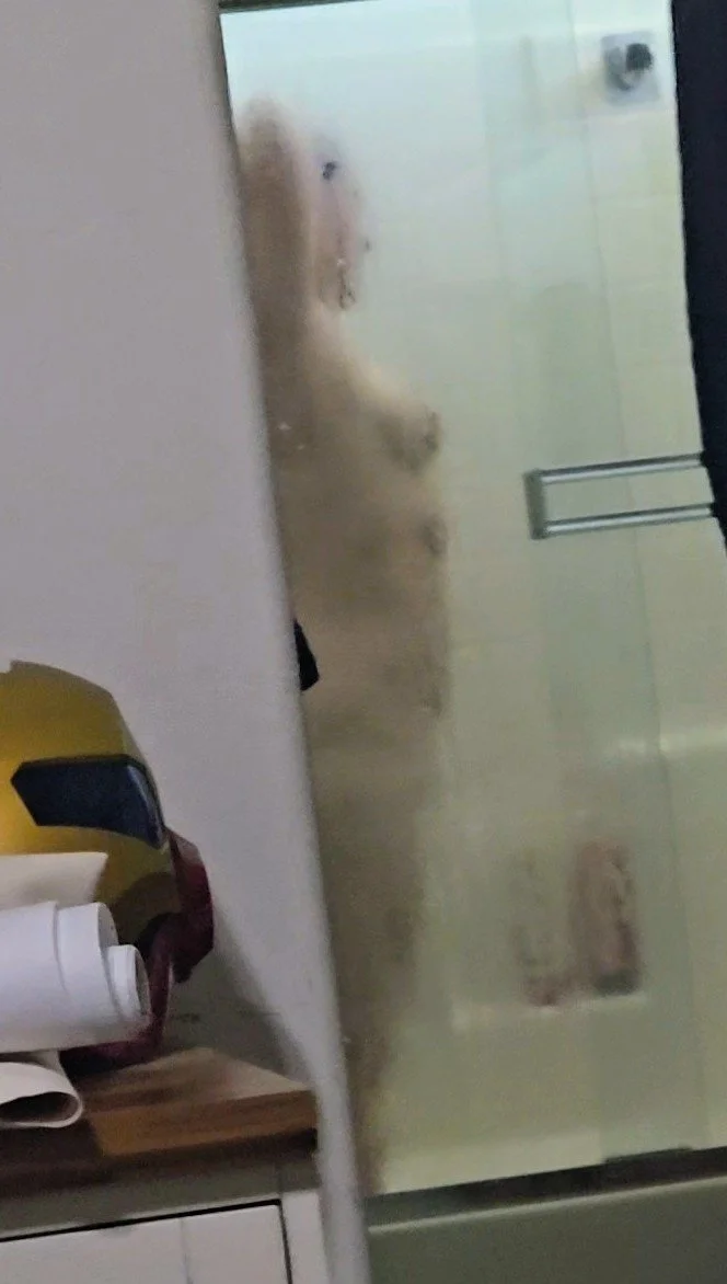 Shower Voyeur image 20