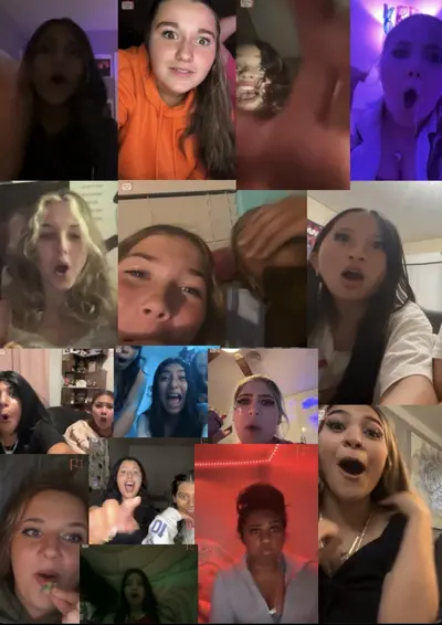 Cock shock reactions cover image