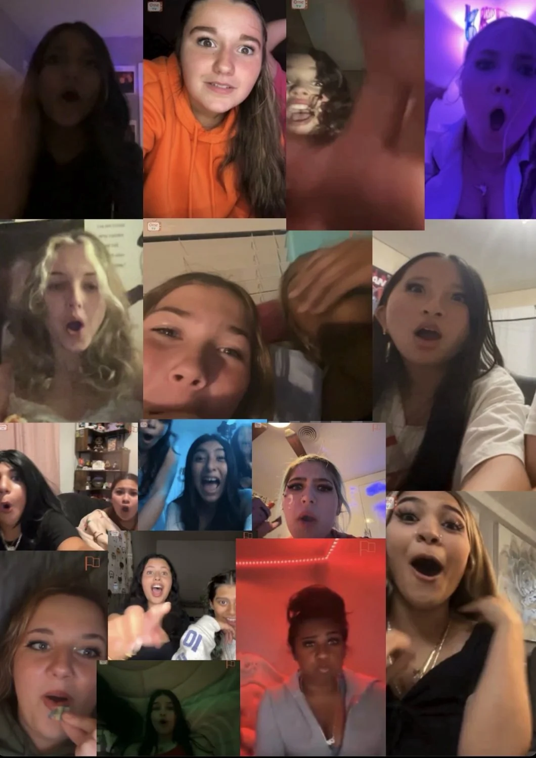 Cock shock reactions main image
