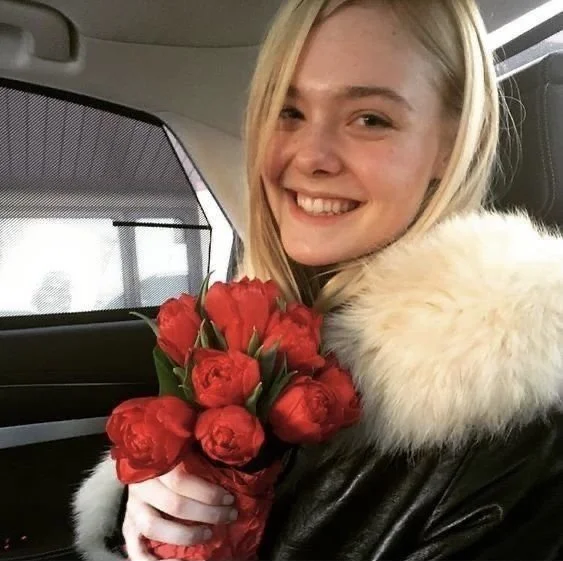 Imagine CEI by Elle Fanning image 34