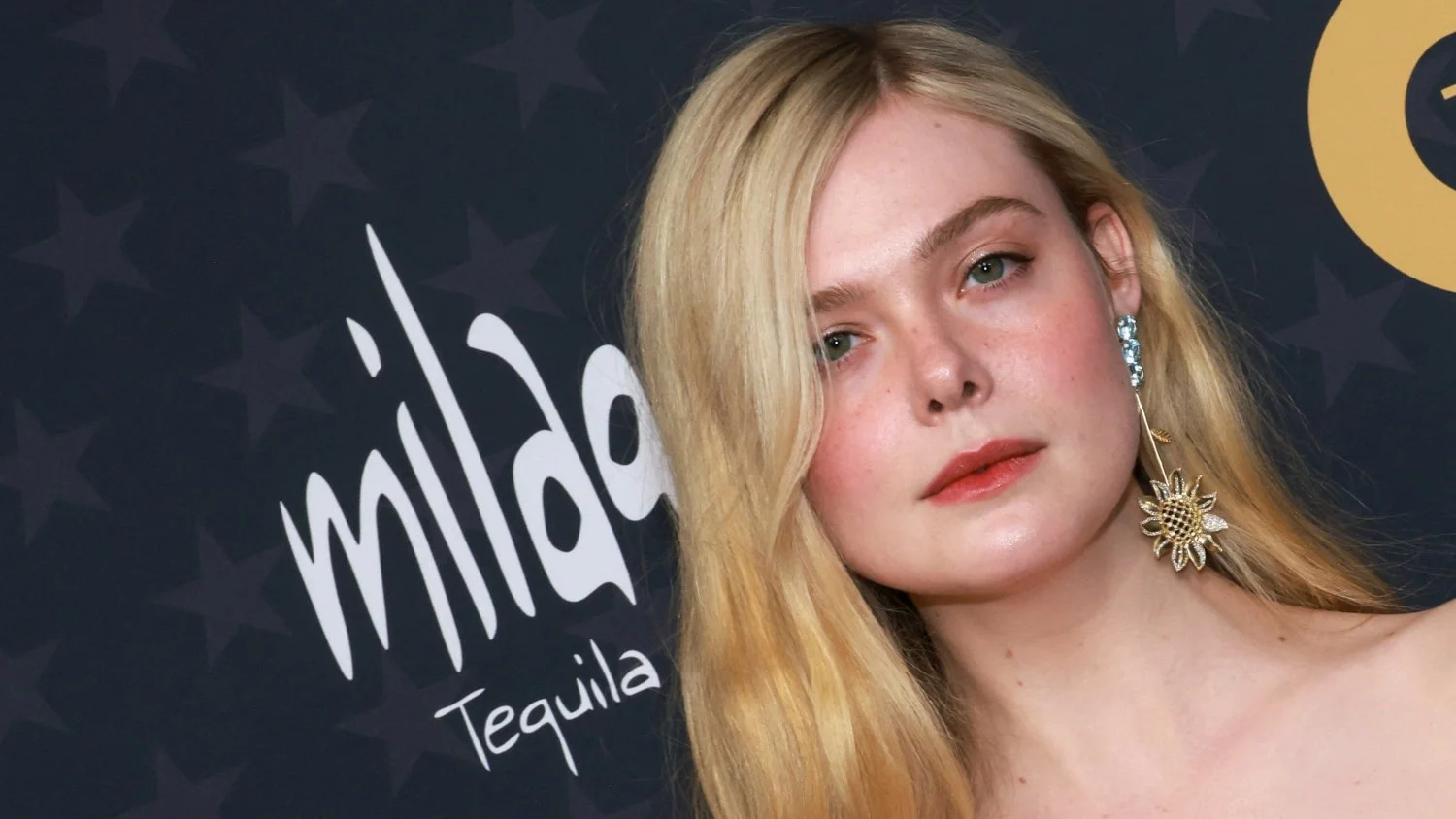 Imagine CEI by Elle Fanning image 40