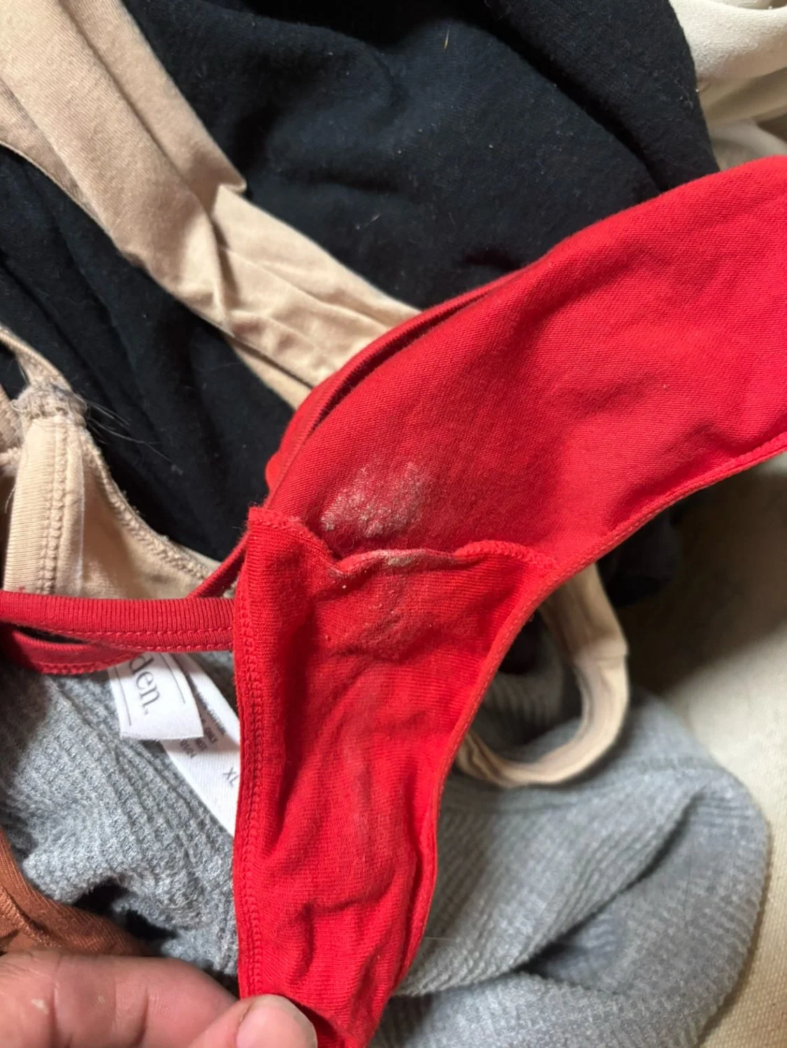 Wife’s dirty panties image 2