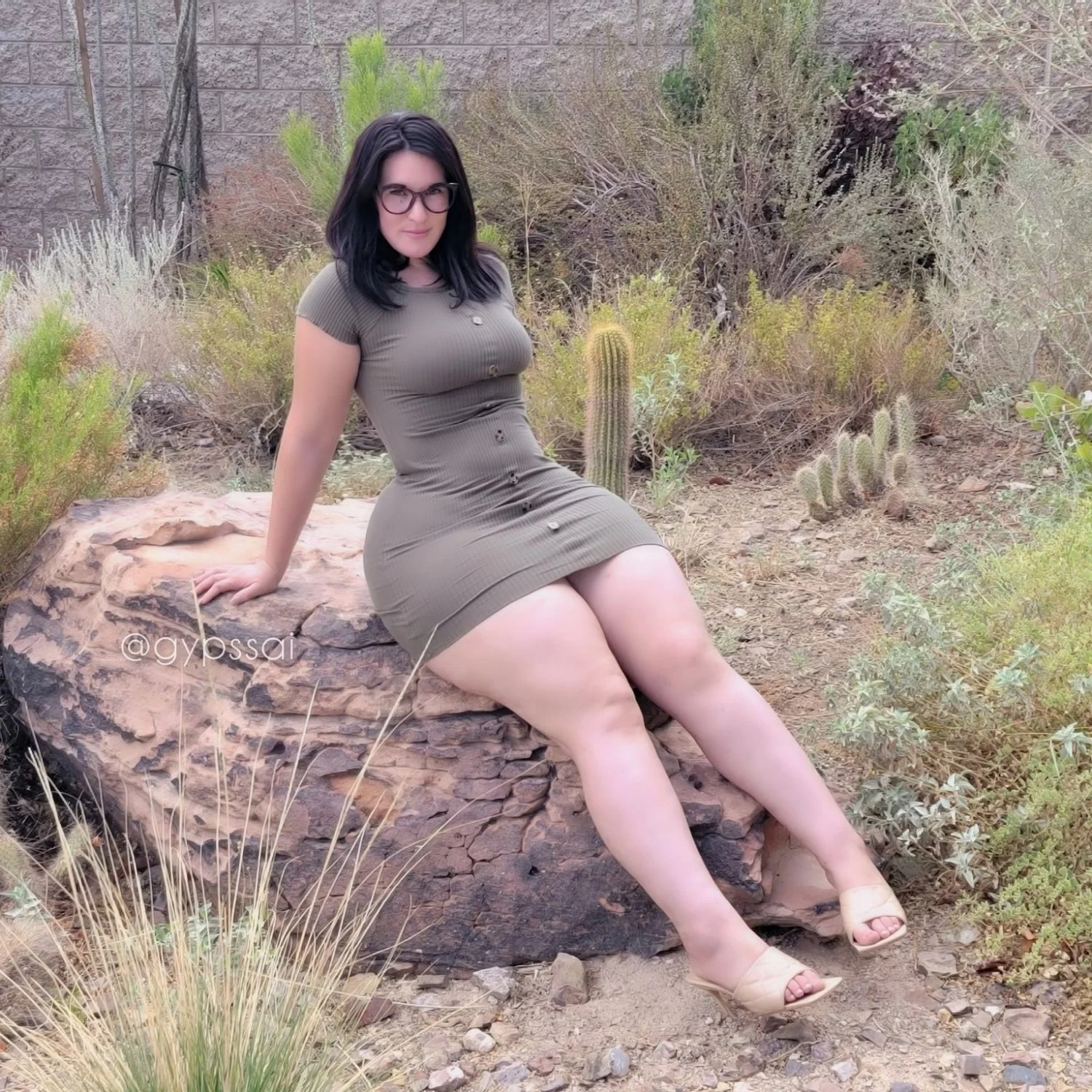 GYPS image 4