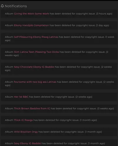 Make it Make Sense. How am I getting flagged, none of us own the content we post. cover image