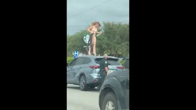 Crazy Lady cover image