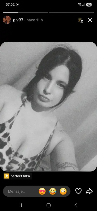 Gabriela zona norte cover image