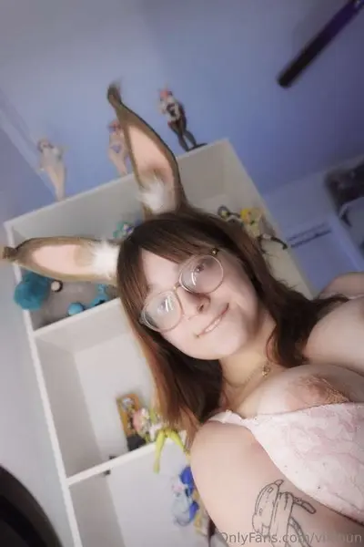 Vixibun cover image