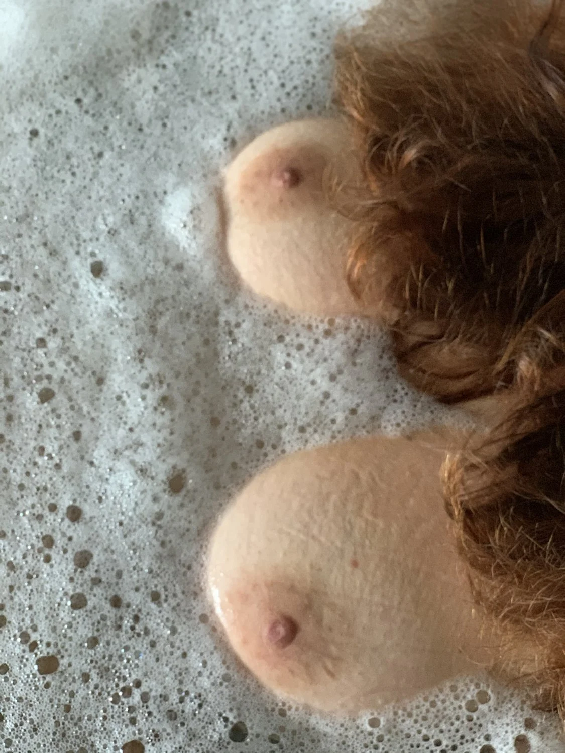 My wife tits! image 4