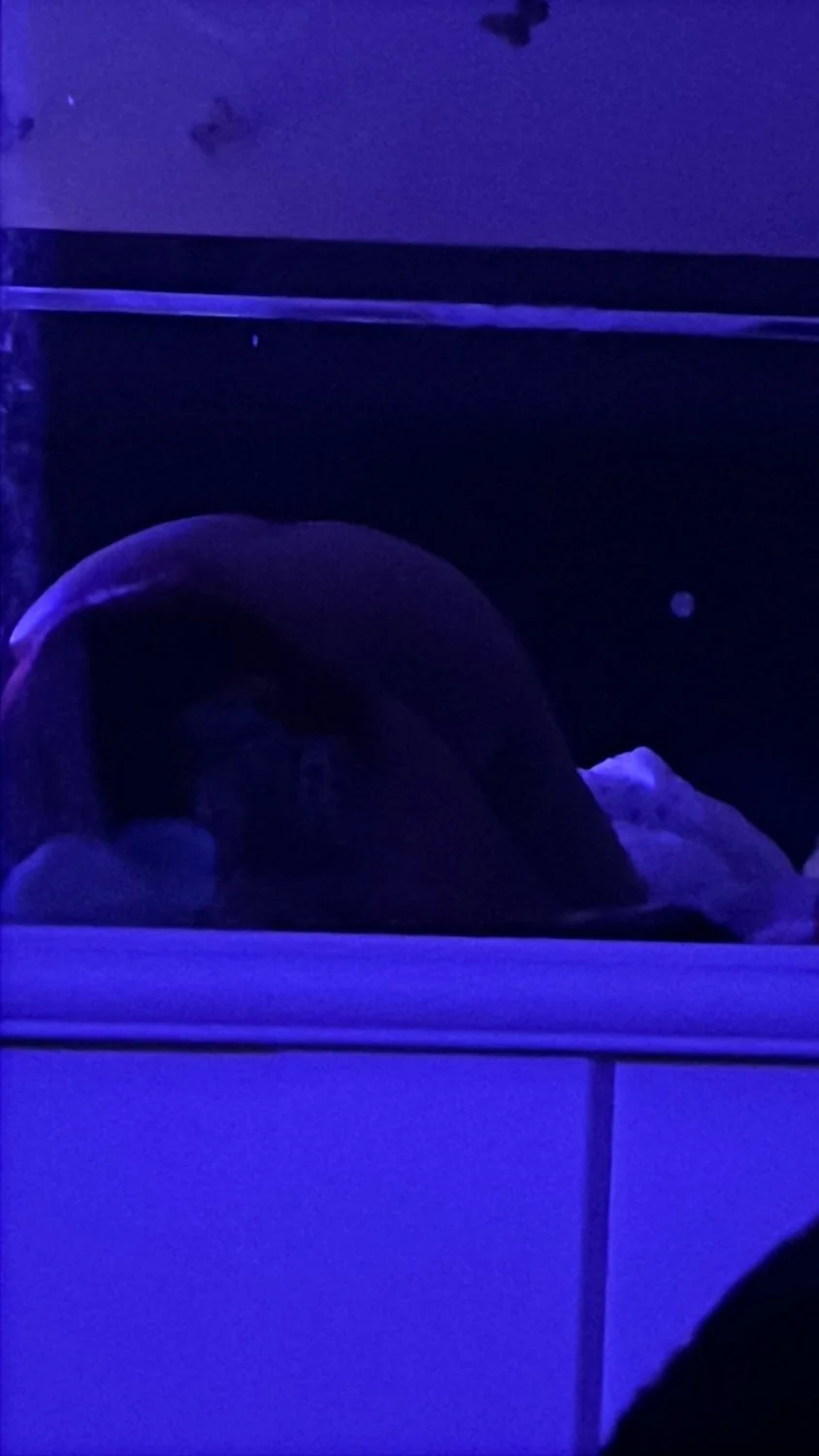 Lightskin nurse in purple lingerie 💜 image 4