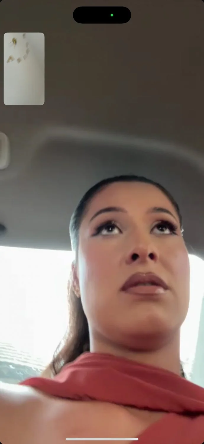 My albanian big ass ex rides dick like a bitch image 4