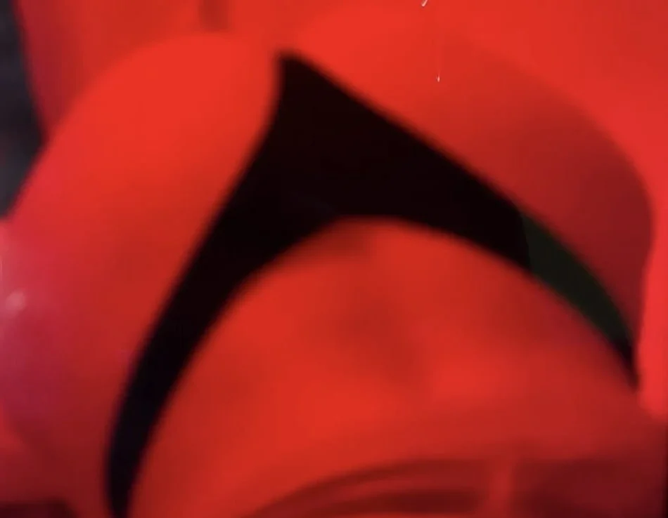 Emma image 4