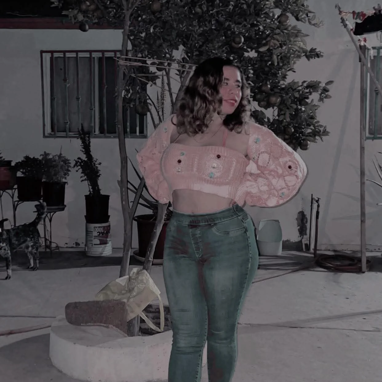 Liliana image 5