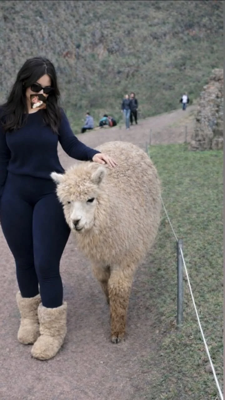 4 L3 J4N DR4 G 0 N Z4L 3S 3 image 17