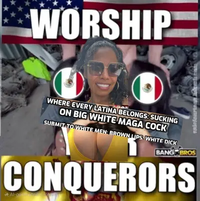 #WMLF cover image