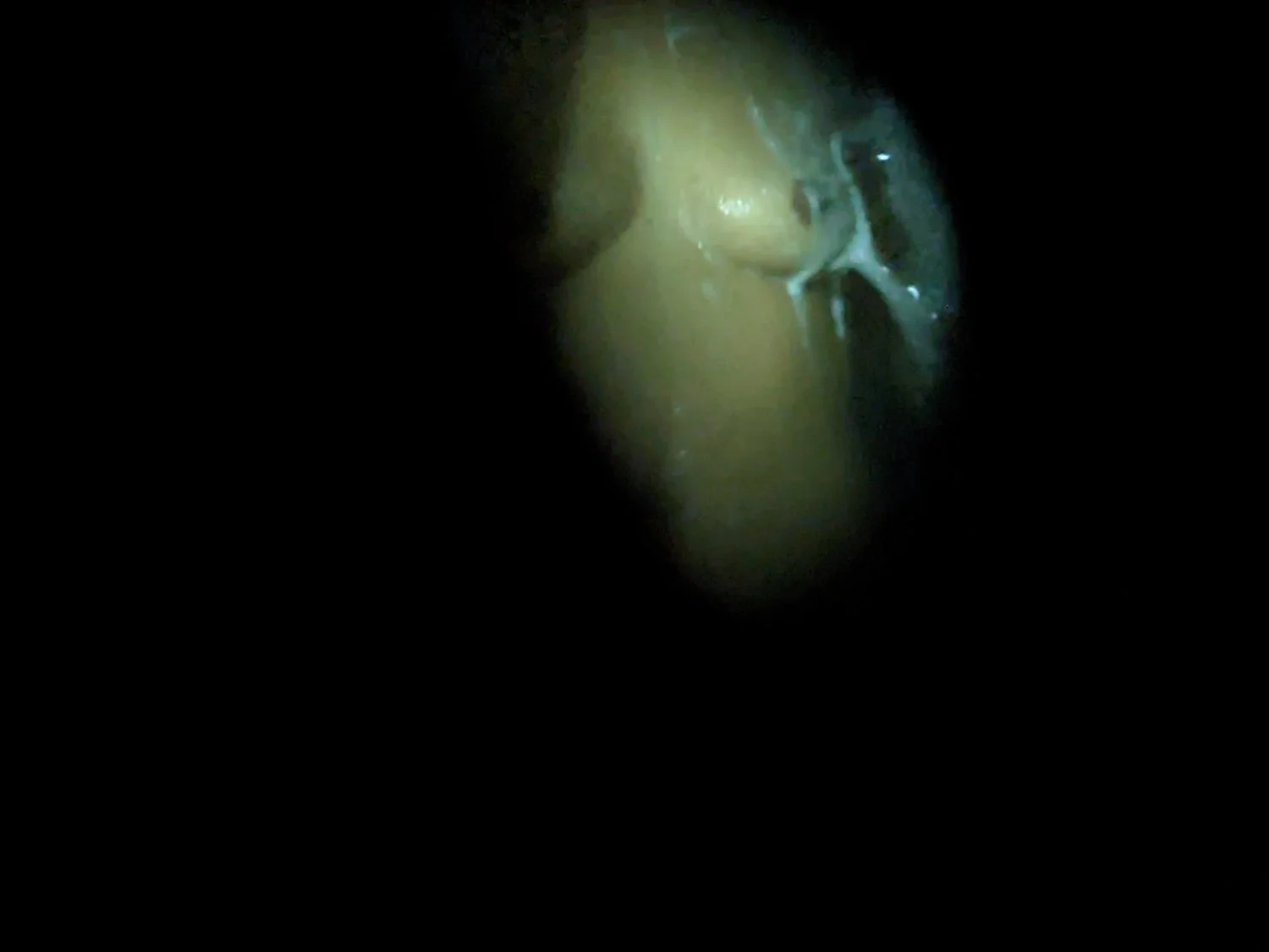 Espiando a la mamá de mi prima mientras se baña image 3