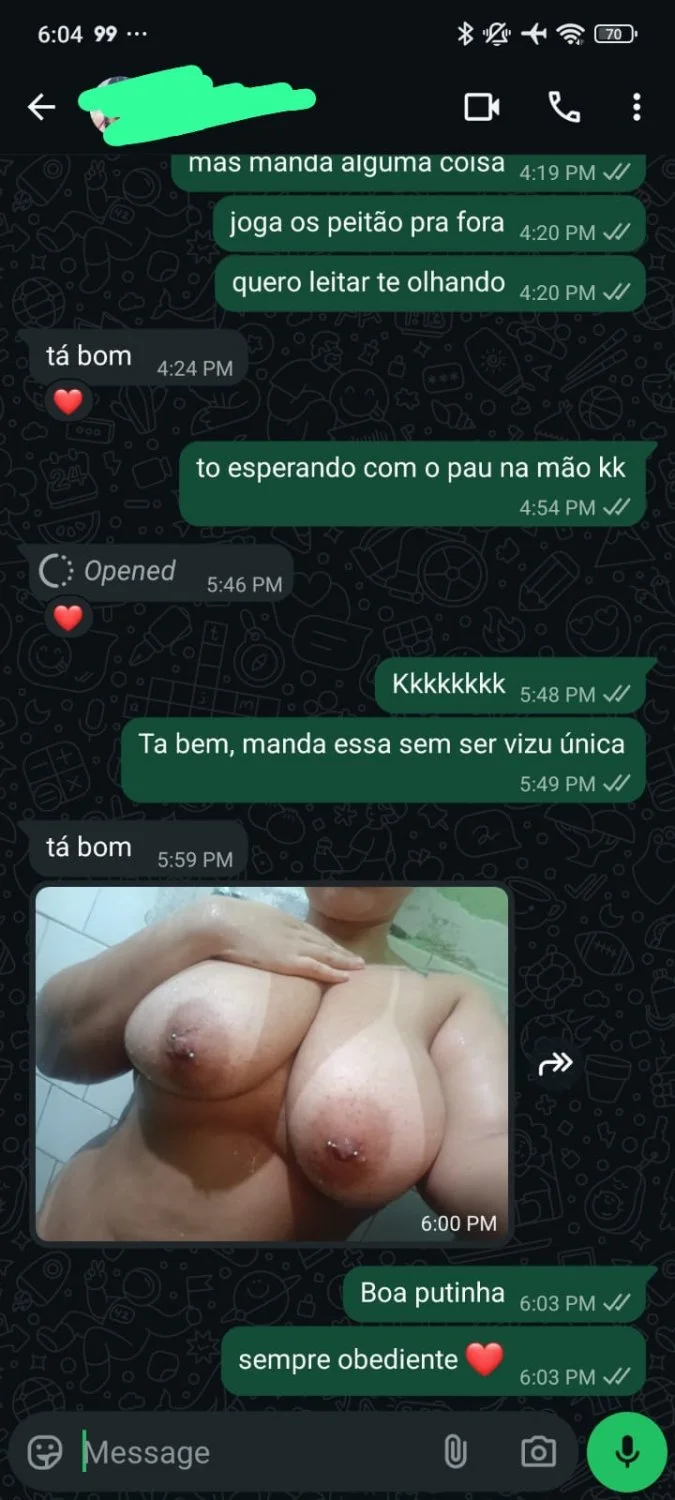 quando eu num quero tocar uma chamo logo minha gordinha de estimação kkk image 3