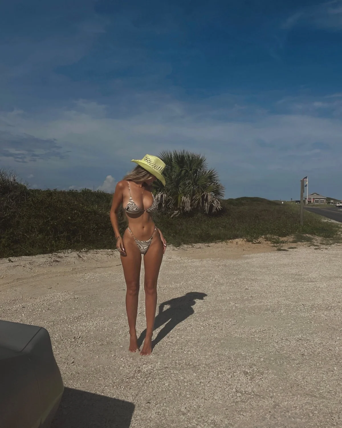 Madeline🇺🇲 image 12