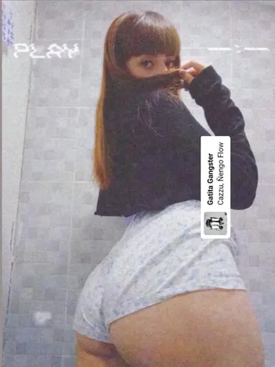 Pendeja chilena cover image