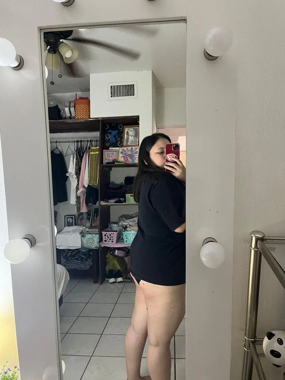 Melissa tetona mexicana exhibida image 3