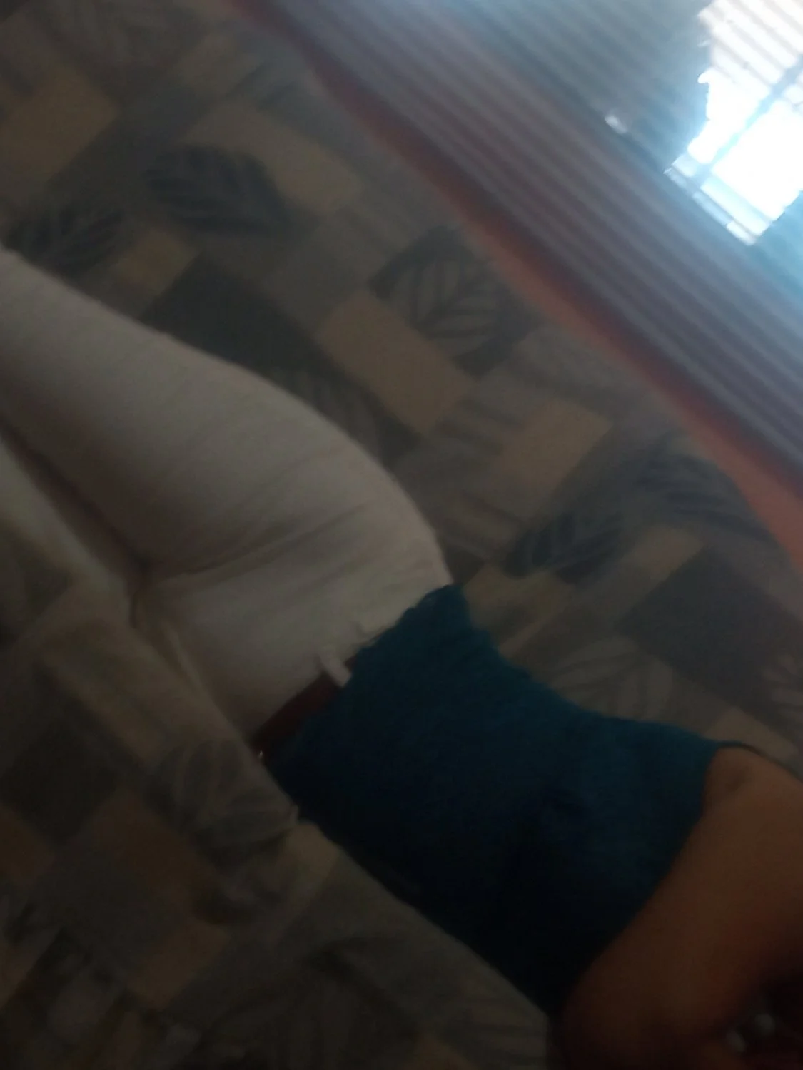 Las perritas de mi hermana y los pies de mi mama image 11