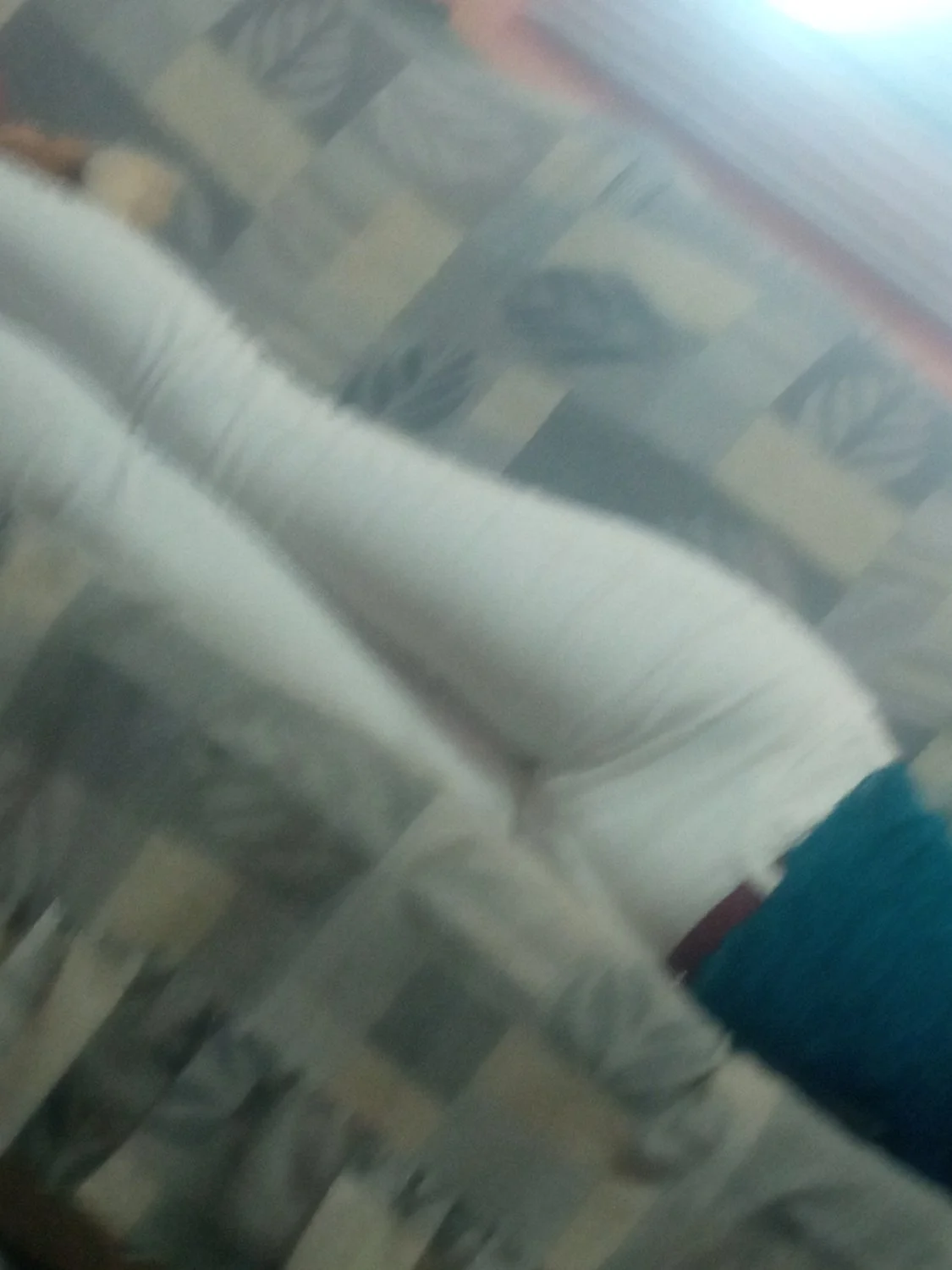 Las perritas de mi hermana y los pies de mi mama image 20