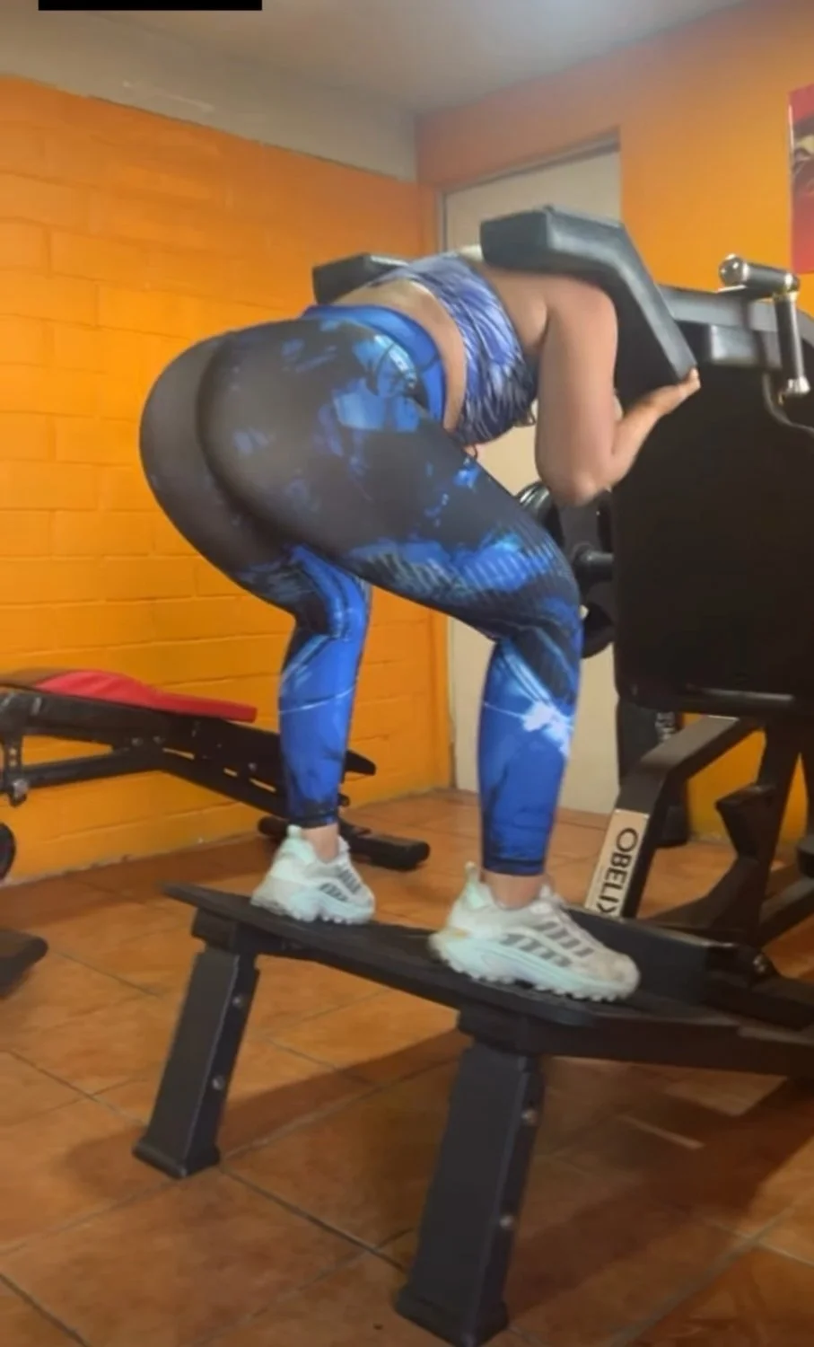 Chilenas ricas en el gim 2 image 13