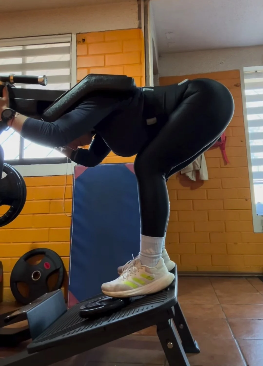 Chilenas ricas en el gim 2 image 22