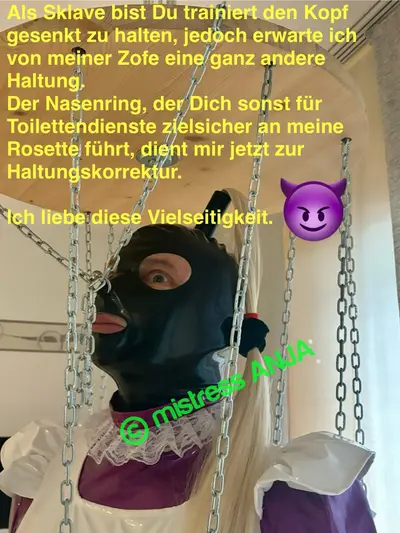 Haltungskorrektur cover image