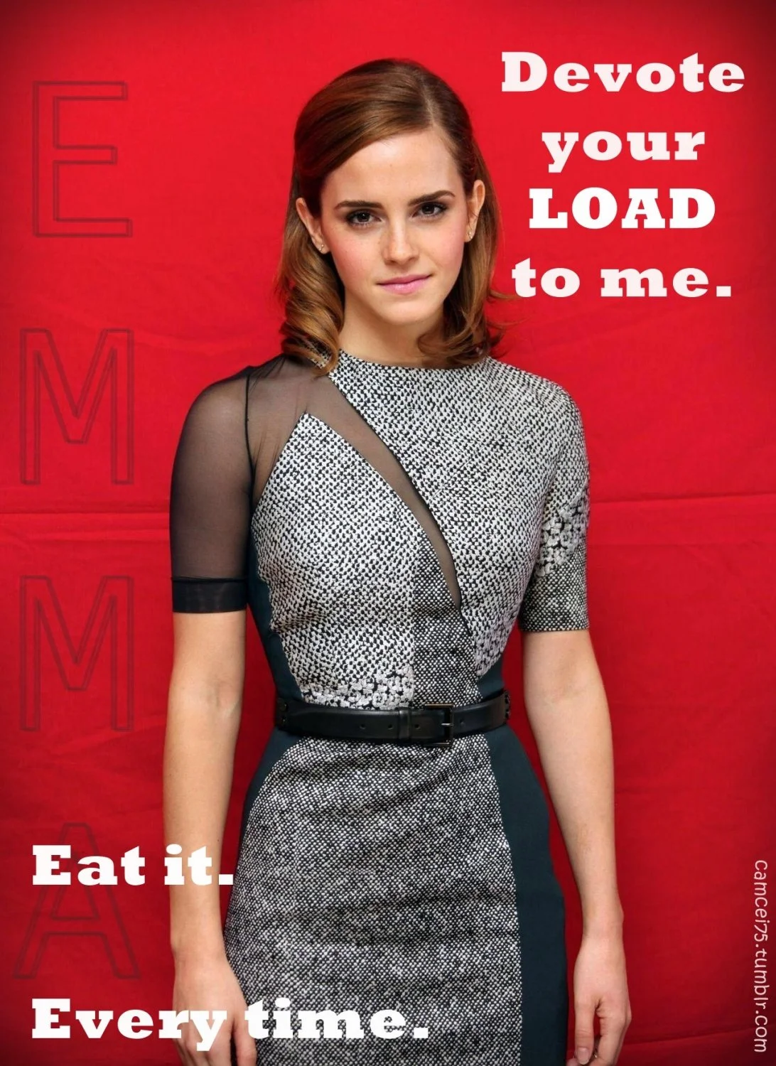 Emma Watson is flattered - CEI Captions image 2